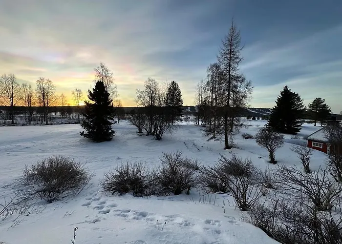 Tuomaa - Authentic Riverside Ροβανιέμι